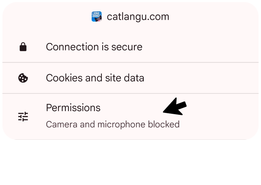 Site info popup showing Permissions option